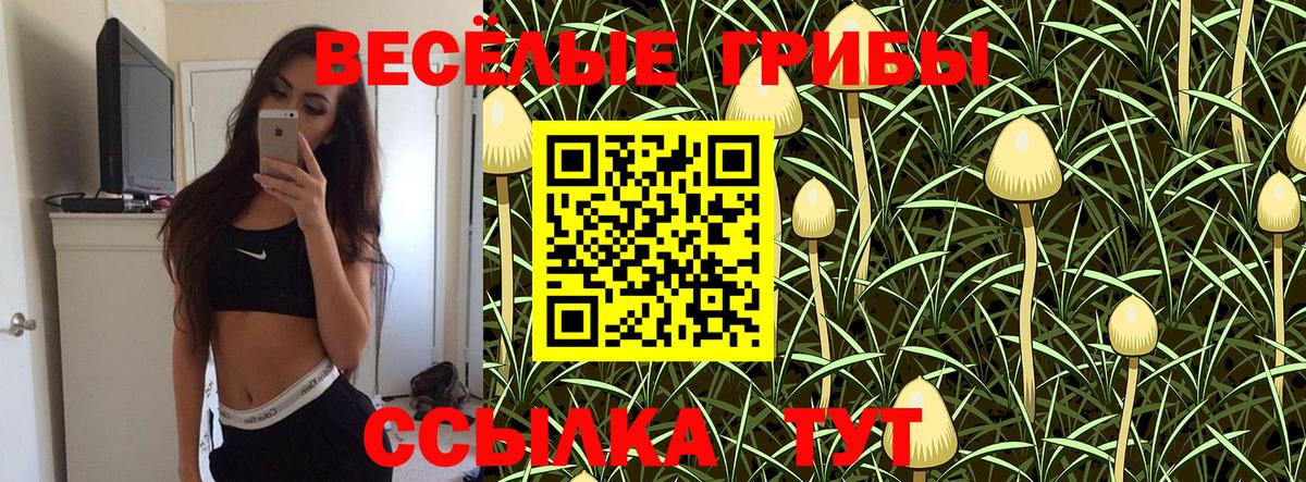 Строитель  Псилоцибиновые грибы MAGIC MUSHROOMS  Псилоцибиновые грибы Magic Shrooms  Вход с VPN 