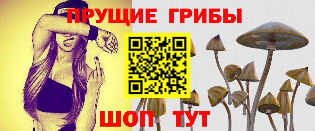 Амфетамин кристаллы  Строитель  NBOMe  МАРИХУАНА  Мефедрон   Вход с VPN  КОКАИН 